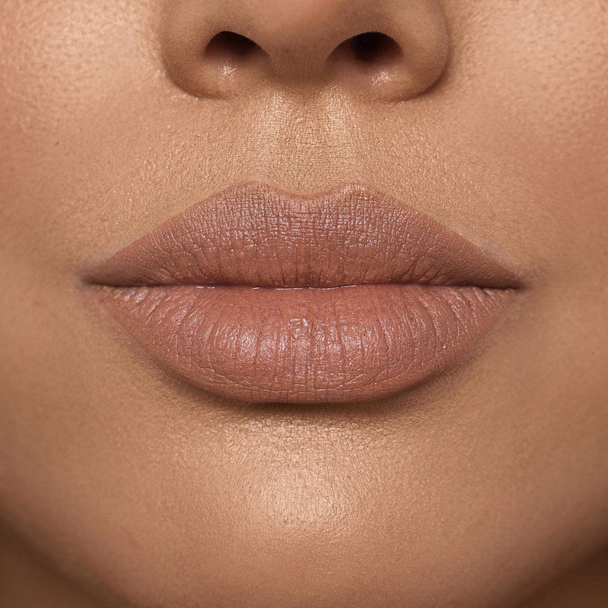 MONOCHROME MOMENT LIP CRAYON (LÁPIZ LABIAL)